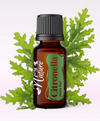 Ulei Esenţial Pur Citronella / Cymbopogon Nardus 15ml - Aromaterapie Sigura | nJoy Nature