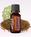 Ulei Esențial Pur Chimen Seminţe / Caraway Seed / Carum Carvi 15ml - Aromaterapie Sigura | nJoy Nature