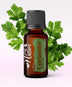 Ulei Esențial Pur Coriandru Seminte / Coriander Seed / Coriandrum sativum 15ml - Aromaterapie Sigura | nJoy Nature