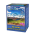 Ceai Brahmi - Everest Ayurveda