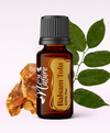 Ulei Esențial Balsam Tolu / Balsamum Tolutanum 15ml - Aromaterapie Sigura | nJoy Nature