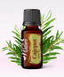 Ulei Esenţial Cajeput / Melaleuca Cajuputi 15ml - Aromaterapie Sigura | nJoy Nature