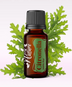 Ulei Esenţial Pur Citronella / Cymbopogon Nardus 15ml - Aromaterapie Sigura | nJoy Nature