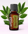 Ulei Esenţial Dafin Laurel / Bay Leaf  / Laurus Nobilis 15ml - Aromaterapie Sigura | nJoy Nature