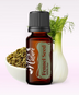 Ulei Esențial Fenicul seminţe / Fennel Seed / Foeniculum vulgare 15ml - Aromaterapie Sigura | nJoy Nature