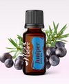 Ulei Esenţial Ienupăr / Juniper / Juniperus Communis 15ml - Aromaterapie Sigura | nJoy Nature