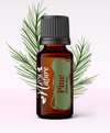 Ulei Esenţial Pin / Pine / Pinus Pinaster 15ml - Aromaterapie Sigura | nJoy Nature