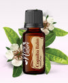Ulei Esențial Pur Balsam de Copahu / Copaiba Balm / Copaifera Officinalis 15ml - Aromaterapie Sigura | nJoy Nature