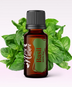 Ulei Esențial Pur Busuioc / Basil / Ocimum Canum 15ml - Aromaterapie Sigura | nJoy Nature