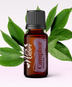 Ulei Esențial Pur Camfor / Camphor / Cinnamomum Camphora 15ml - Aromaterapie Sigura | nJoy Nature