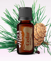 Ulei Esențial Pur Cedru / Cedar Wood / Cedrus Deodara 15ml - Aromaterapie Sigura | nJoy Nature