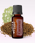 Ulei Esențial Pur Chimen Seminţe / Caraway Seed / Carum Carvi 15ml - Aromaterapie Sigura | nJoy Nature