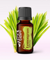 Ulei Esenţial Pur Iarba De Lămâie / Lemongrass / Cymbopogon Flexuosus 15ml - Aromaterapie Sigura | nJoy Nature