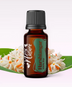 Ulei Esențial Pur Iasomie De Noapte / Harshiangar / Nyctanthes Arbortristis 5ml / 15ml - Aromaterapie Sigura | nJoy Nature