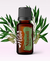 Ulei Esențial Pur Niaouli / Melaleuca Quinquenervia 15ml - Aromaterapie Sigura | nJoy Nature