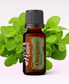 Ulei Esențial Pur Oregano Organic / Origanum Vulgare 15ml - Aromaterapie Sigura | nJoy Nature