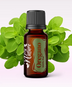 Ulei Esențial Pur Oregano Organic / Origanum Vulgare 15ml - Aromaterapie Sigura | nJoy Nature