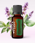 Ulei Esențial Pur Paciuli / Patchouli / Pogostemon Cablin 15ml - Aromaterapie Sigura | nJoy Nature