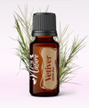 Ulei Esențial Pur Vetiver / Vetiveria Zizanoides 15ml - Aromaterapie Sigura | nJoy Nature