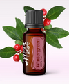 Ulei Esențial Pur Wintergreen / Gaultheria Procumdens 15ml - Aromaterapie Sigura | nJoy Nature