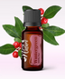 Ulei Esențial Pur Wintergreen / Gaultheria Procumdens 15ml - Aromaterapie Sigura | nJoy Nature