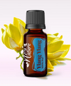 Ulei Esențial Pur Ylang Ylang / Cananga Odorata 15ml - Aromaterapie Sigura | nJoy Nature