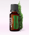 Ulei Esenţial Tuia / Thuja Wood / Thuja Occidentalis 15ml - Aromaterapie Sigura | nJoy Nature